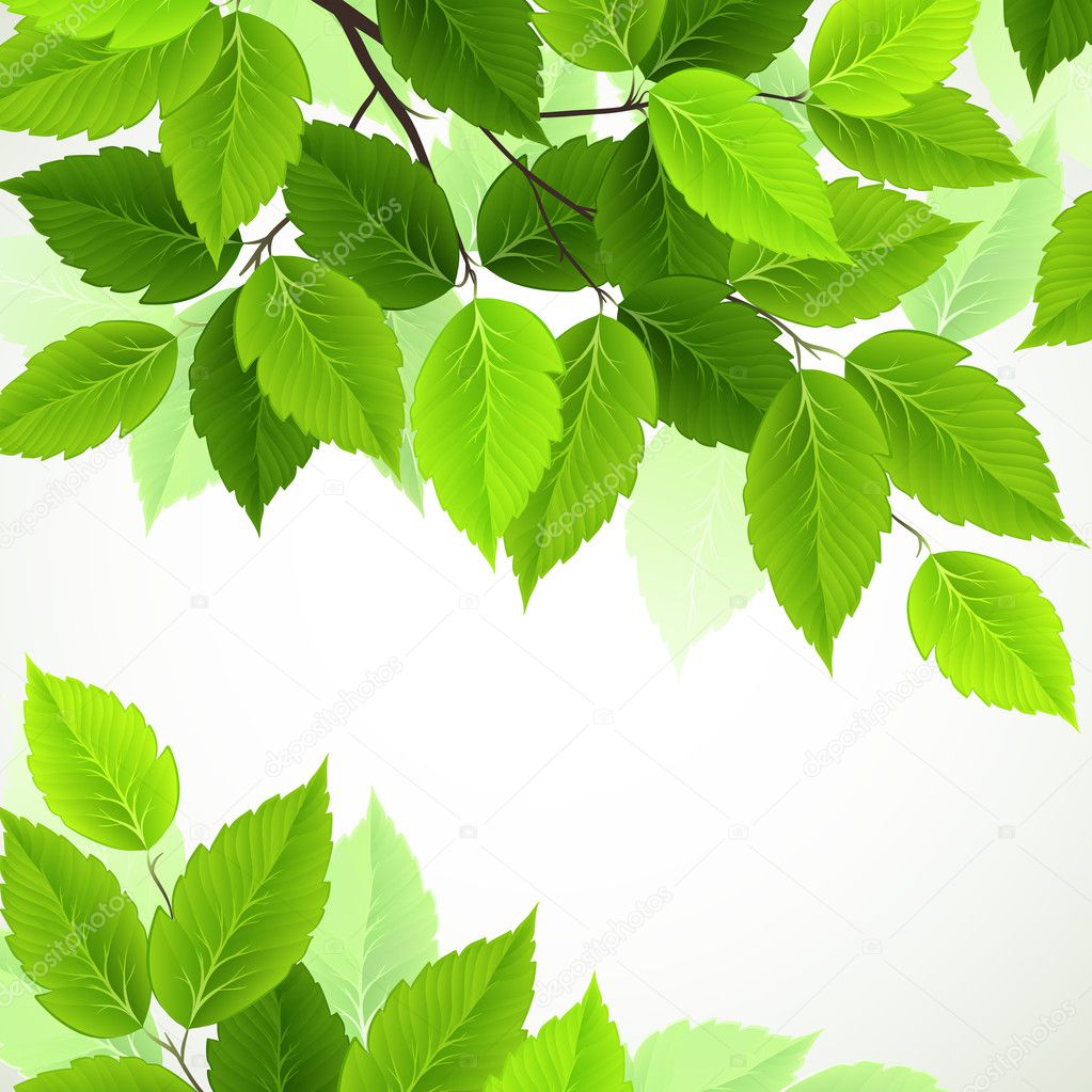 Raster version of branch with fresh green leaves