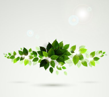 Branch with fresh green leaves clipart