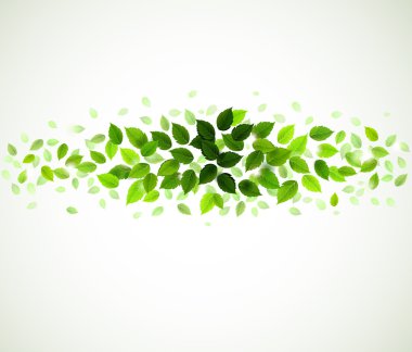 Картина, постер, плакат, фотообои "ветви со свежими зелеными листьями", артикул 11917405