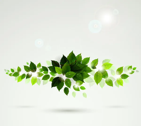 Branch with fresh green leaves — Stock Vector