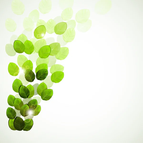 Rostoucí větev s čerstvé zelené listy — Stockový vektor