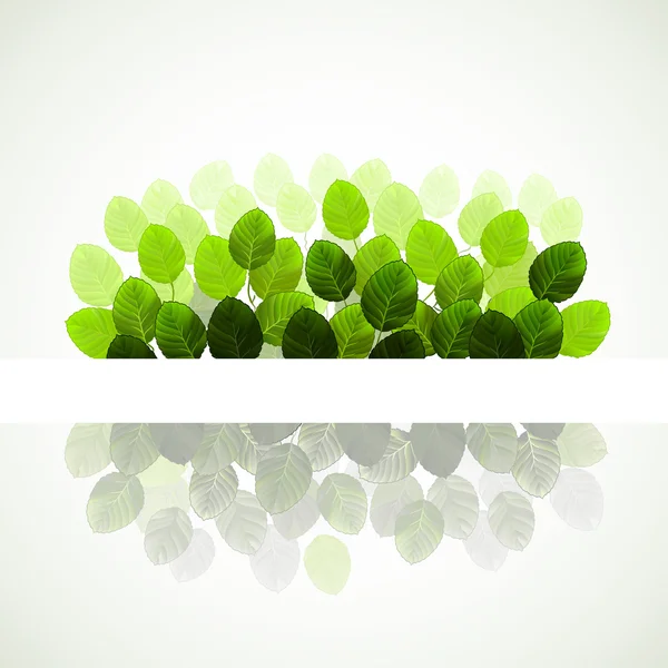 Rama de hojas verdes frescas — Vector de stock