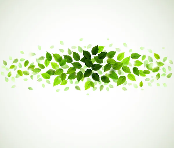 Branch with fresh green leaves — Stock Vector