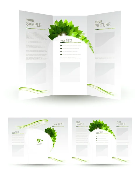 Diseño vectorial de folleto ecológico con rama de hojas verdes frescas — Vector de stock
