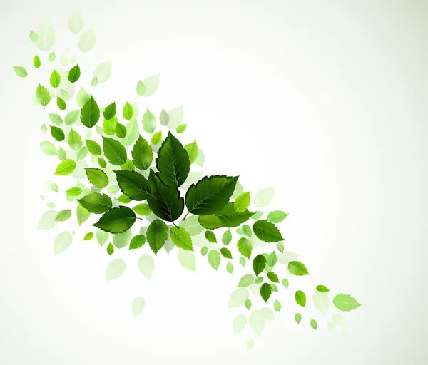 Zweig mit frischen grünen Blättern — Stockvektor