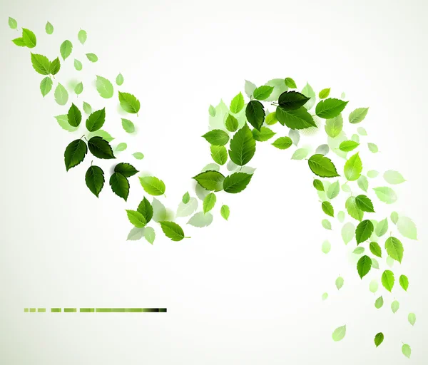 Větev s čerstvými zelenými listy — Stockový vektor
