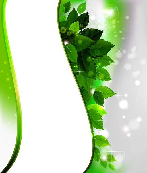 Дизайн свіжого зеленого листя — стоковий вектор