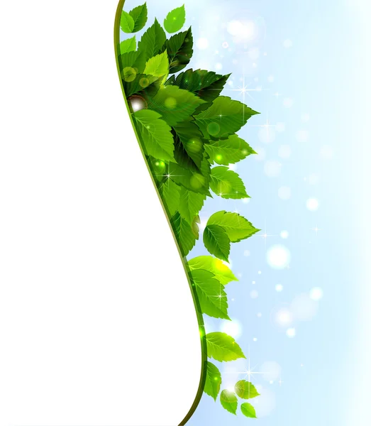Design von frischen grünen Blättern — Stockvektor