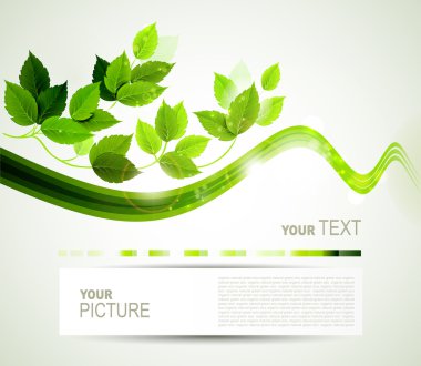 Картина, постер, плакат, фотообои "эко-брошюра с веткой из свежих зеленых листьев
", артикул 11934033