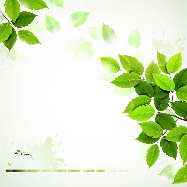 Lato gałąź ze świeżymi zielonymi liśćmi — Wektor stockowy