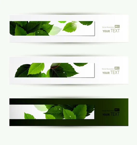 Encabezados conjunto de cuatro banners del medio ambiente — Vector de stock