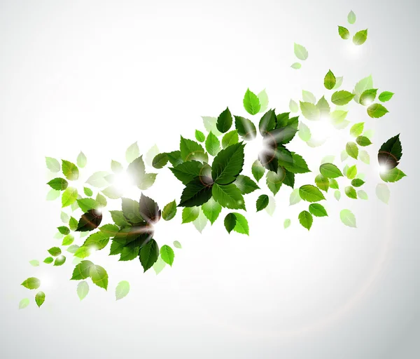 Taze yeşil yaprakları ile arka plan — Stok Vektör