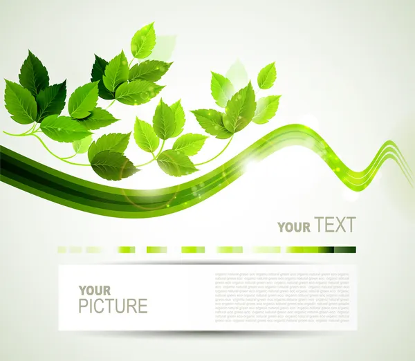 Эко-брошюра с веткой из свежих зеленых листьев — стоковый вектор