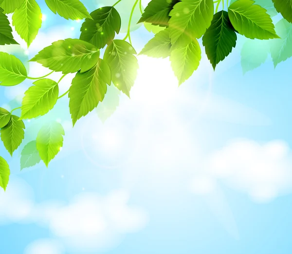Υποκατάστημα με πράσινα φύλλα που κρέμονται από το δέντρο — Διανυσματικό Αρχείο