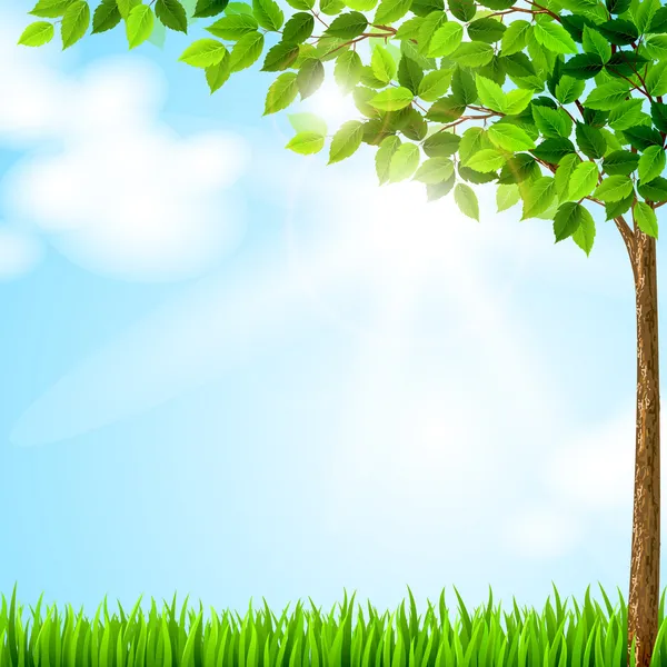 Árvore com folhas verdes crescendo na clareira — Vetor de Stock