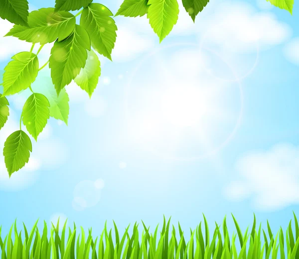 Ветка с зелеными листьями, свисающими над поляной — стоковый вектор