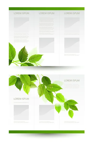 Vector design of eco booklet with branch of fresh green leaves — Stock Vector