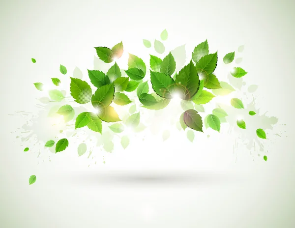 Été briller sur la branche avec des feuilles vertes fraîches — Image vectorielle