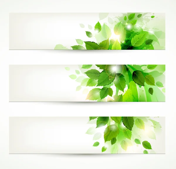 新鮮な緑の葉を持つ 3 つのバナーの設定 — ストックベクタ