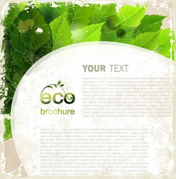 Эко-брошюра, овальная рамка с зелеными листьями на винтаже — стоковый вектор
