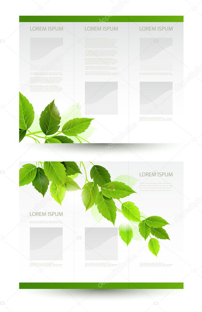 Vector design of eco booklet with branch of fresh green leaves