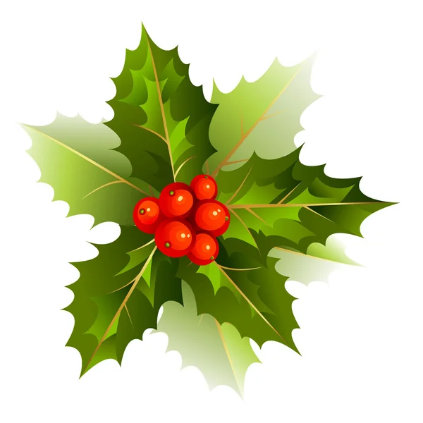 素敵なクリスマスのヒイラギひいらぎの枝 — ストックベクタ