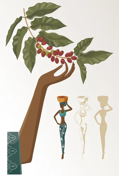Женщина берет урожай кофе — стоковый вектор