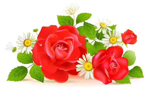 白い chamomilies と赤いバラ — ストックベクタ