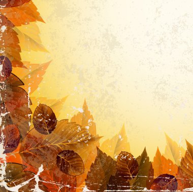 Autumn clipart