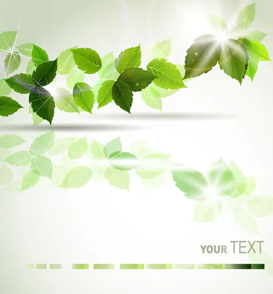 Branche aux feuilles vertes fraîches — Image vectorielle