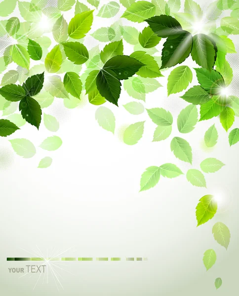 新緑の夏の枝 — ストックベクタ