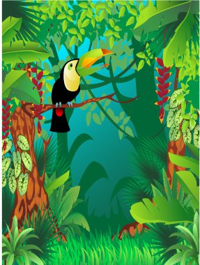 Toucan in tropical forest clipart