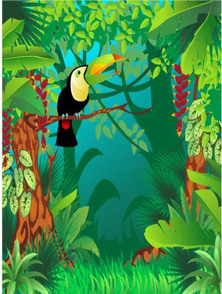 Tucán en bosque tropical — Vector de stock