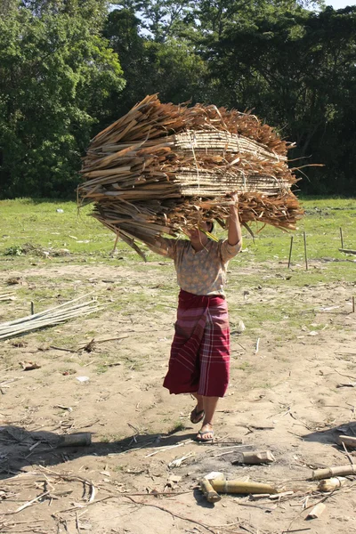 Burmese woman carrying palm tree roofing panels on her head, Inle lake, Shan state, Myanmar, Southeast Asia — Stock Photo, Image