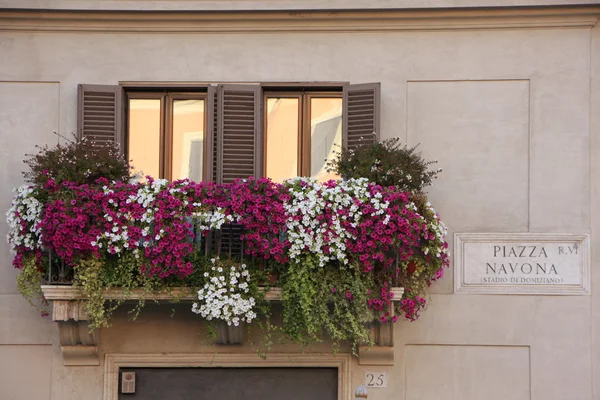 stock image Flowers on a european window