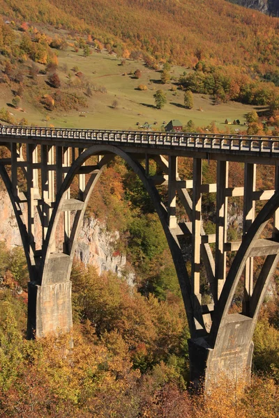 stock image Tara bridge, Durmitor National Park, Montenegro