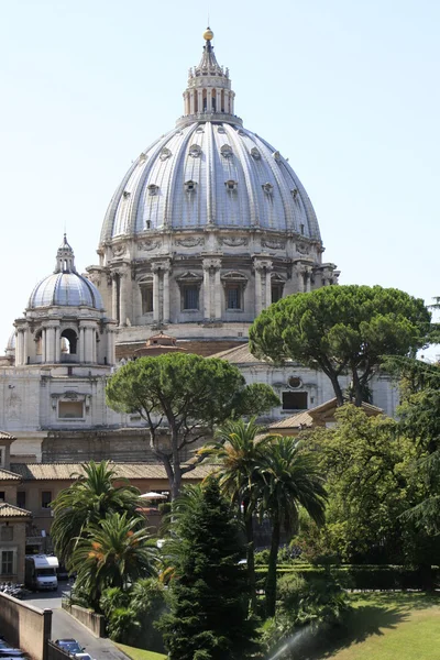 Saint peter's basilica kupol, Vatikanen, Rom, Italien — Stockfoto