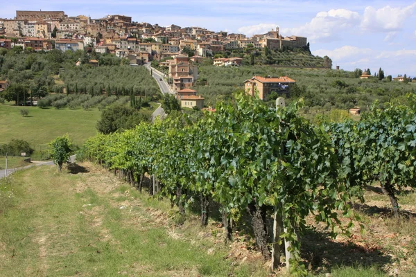 Chianciano terme stad met wijnstokken, Toscane, Italië — Stockfoto