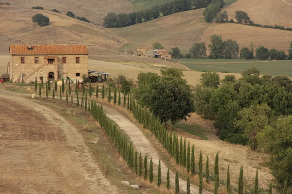 Lantlig väg med cypress träd, Toscana, Italien — Stockfoto