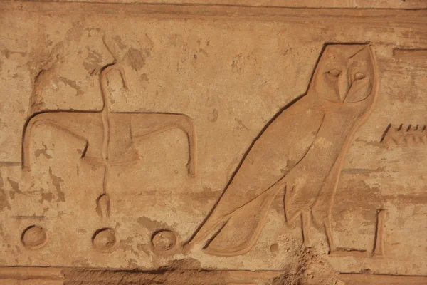 Ancient hieroglyphics — Stockfoto