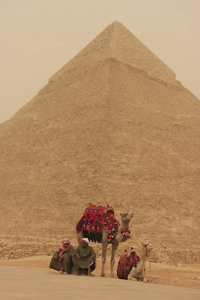 Pirámide de Khafre y camellos en tormenta de arena, El Cairo, Egipto —  Fotos de Stock