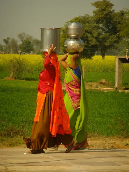 在他们的头上携带水罐的印度妇女 — 图库照片