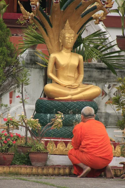 Mnich v oranžové roucho klečící před sochou Buddhy, jihovýchodní Asie — Stock fotografie