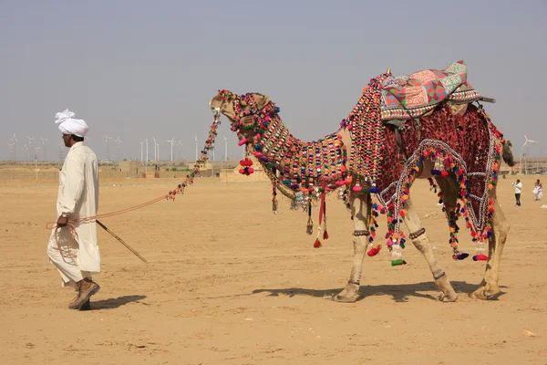 Dekorerad kamel och camel man, jaisalmer, Indien — Stockfoto