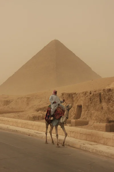 Pyramide de Khufu et chameau dans une tempête de sable, Le Caire, Egypte — Photo