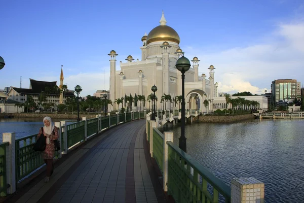 Sultão Omar Ali Saifudding Mesquita, Bandar Seri Begawan, Brunei, Sudeste Asiático — Fotografia de Stock