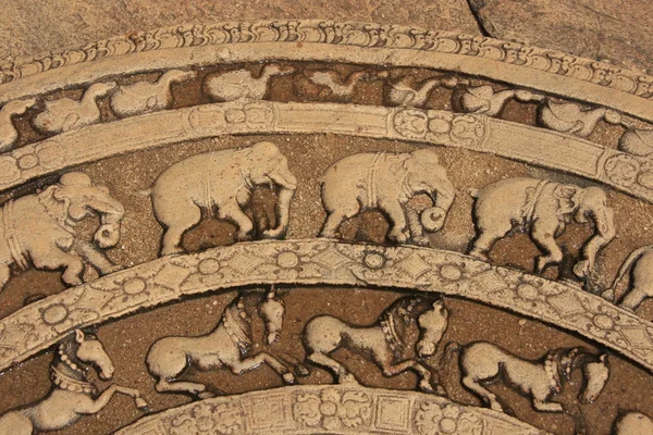 古代の寺院、ポロンナルワ、スリランカの床の上の彫刻 — ストック写真