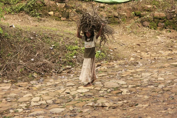Młoda dziewczyna przewożących drewno opałowe na głowie, sri lanka — Zdjęcie stockowe