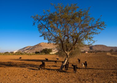 atlas mount, morocco