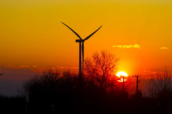 stock image Wind turbine in sunset time